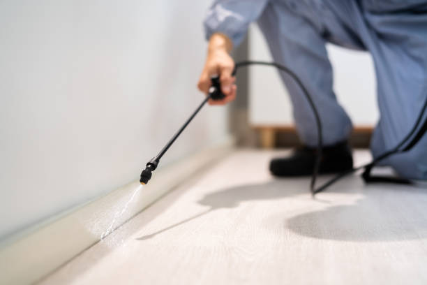 Certified termite inspector examining foundation in Dimondale