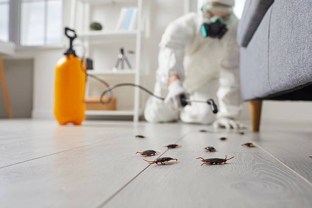 Commercial Kitchen Cockroach Control in Dimondale